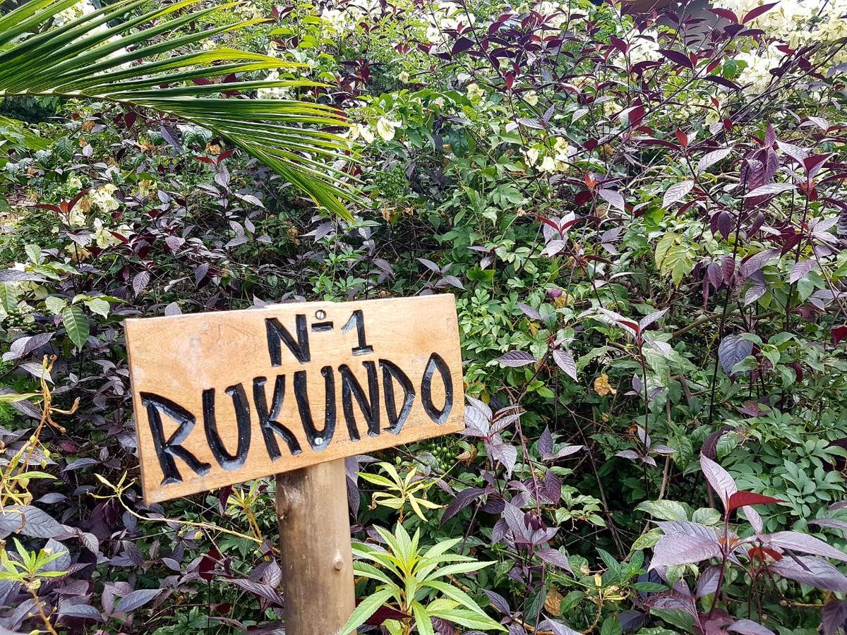 Kivu Paradis Resort Nyamyumba Zimmer foto